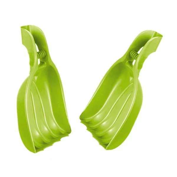 Bladscheppen Berenpoot - Grote Schephanden 4 Bladscheppen Berenpoot - Grote Schephanden - Afbeelding 2