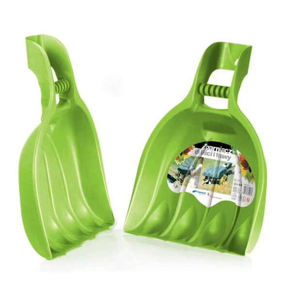 Bladscheppen Berenpoot - Grote Schephanden 6 Bladscheppen Berenpoot - Grote Schephanden - Afbeelding 4