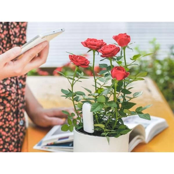 Bluetooth Planten Monitor 4 In 1 4 Bluetooth Planten Monitor 4 In 1 - Afbeelding 2