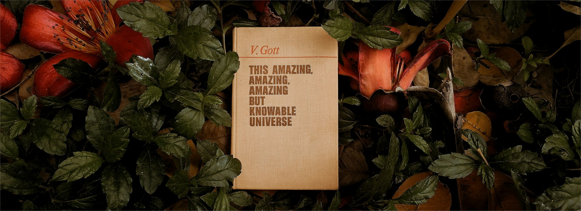 Practical Gardening Tool Winkel -Practical Gardening Tool Winkel ansh sethi ncvD7JJHuAE unsplash1